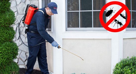 Çavdarhisar Gümüşkurt İlaçlama böcek ilaçlama ve haşere kontrolü — ilaclama-tr.com